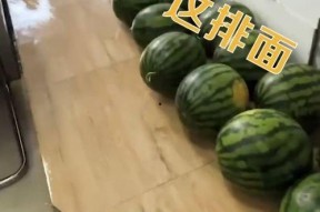 花臂老师网红吃瓜,网红吃瓜界的风云人物